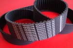 Pas zębaty 1600-8M-50 Omega Optibelt 