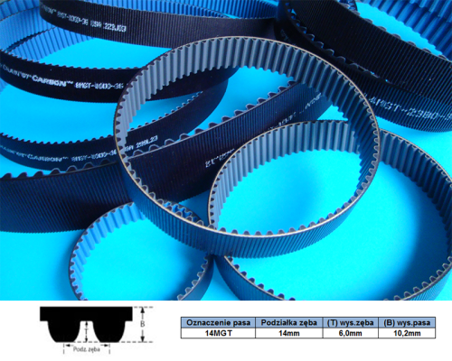 14MGT.png