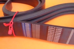 Pas klinowy zespolony 3/RSPC-5300 SWR