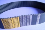 Pas zębaty 800-8M-50 Strongbelt