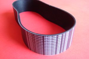  Pas wielorowkowy 19PJ-508 Optibelt