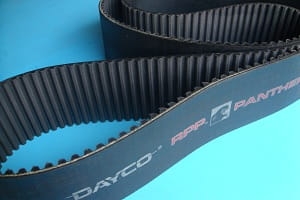 Pas zębaty RPP PANTHER 3500 PTH14 115 Dayco