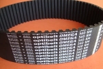 Pas zębaty 560-8M-50 Omega Optibelt