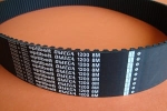 Pas zębaty 1200-8M-50 Omega Optibelt