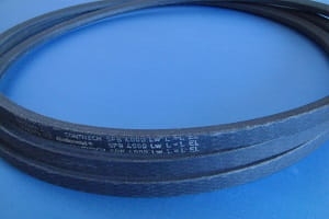 DSC08072.JPG
