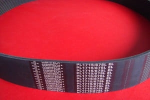 Pas wielorowkowy 12PL-1715/675L Contitech