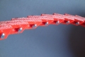 DSC08366.JPG