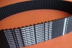 Pas zębaty 880-8M-50 Omega Optibelt
