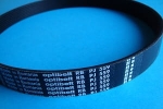 Pas wielorowkowy 8PJ-559 Optibelt
