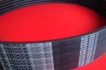 Pas klinowy zespolony 5/SPBP-2240 Predator Gates