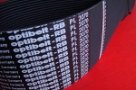 Pas wielorowkowy 20PL-2070 Optibelt