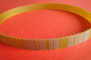 Pas zębaty 16 T5-500 Optibelt
