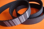 Pas zębaty 1800-8M-40mm Strongbelt