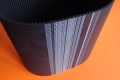 DSC00413.JPG