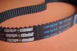 Pas zębaty 1120-GLD8-30 Gold Megadyne