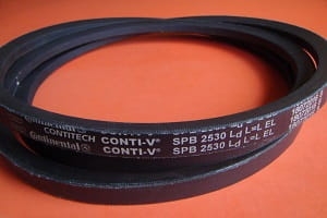 DSC06761.JPG