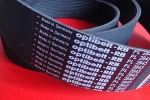 Pas wielorowkowy 15PL-2845 Optibelt