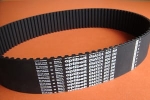 Pas zębaty 800-8M-50 Omega Optibelt