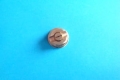 DSC07188.JPG